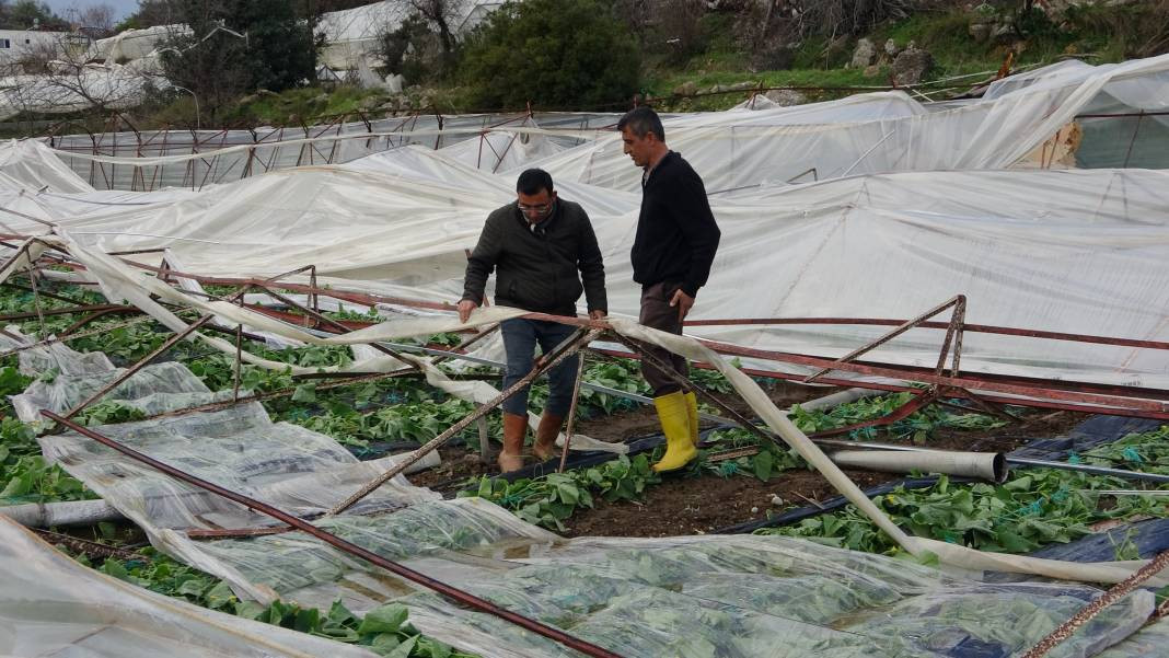 Seralar hayalet gibi uçtu! Pencereden bakan Antalyalılar gözlerine inanamadı - Resim: 6